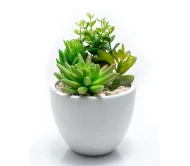 Coco Coir Pole1 - Image 4