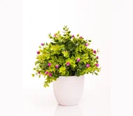 Coco Coir Pole1 - Image 3