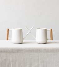 Pilea Peperomioides - Image 5